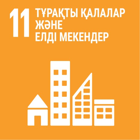 SDG 11