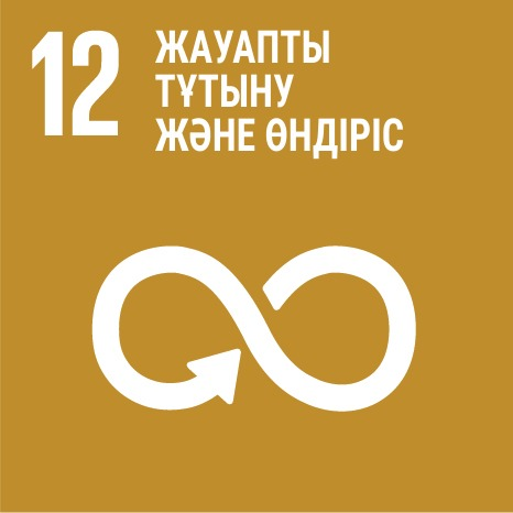 SDG 12