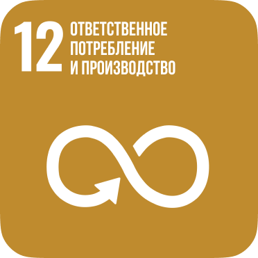 SDG 12