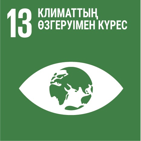 SDG 13