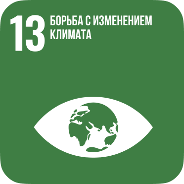 SDG 13