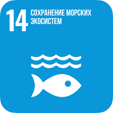 SDG 14