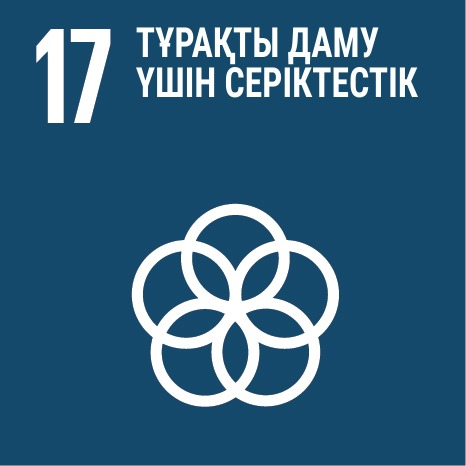 SDG 17