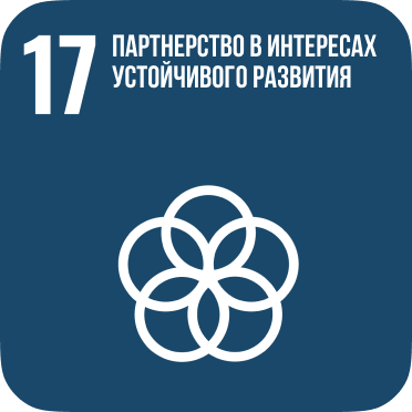 SDG 17