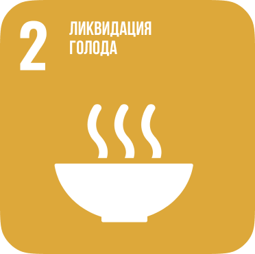 SDG 2