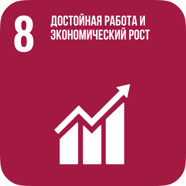 SDG 8