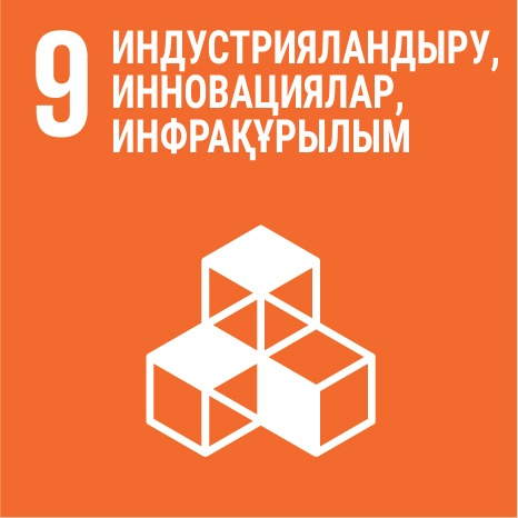 SDG 9