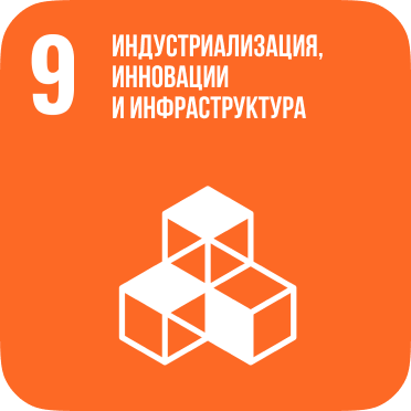 SDG 9