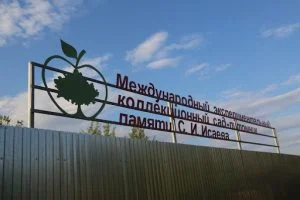 «С.И. Исаев атындағы Халықаралық эксперименталдық коллекциялық бақ-питомник»